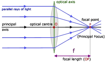 Introduction to Thin Lens