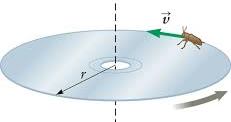 Concise introduction to uniform circular motion by illlustrating moving of a digital disk